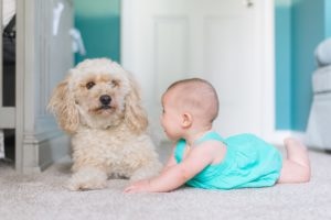 Babyfoto im ersten Jahr: Krabbelndes Baby mit Hund