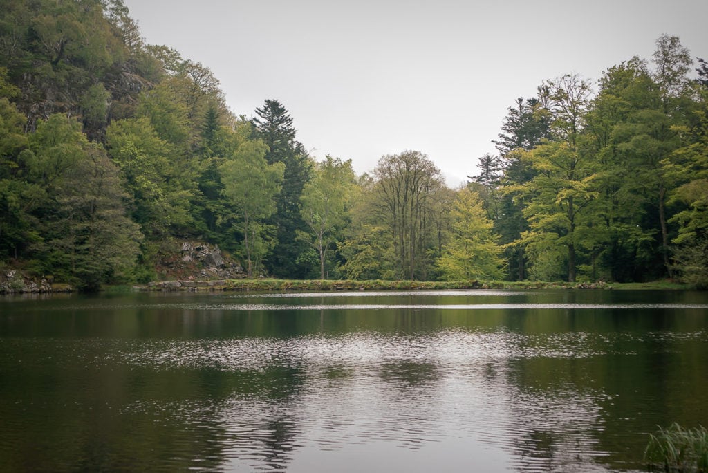 Der letzte See auf der Wanderung im Elsass eignet sich ebenfalls für einen Heiratsantrag.