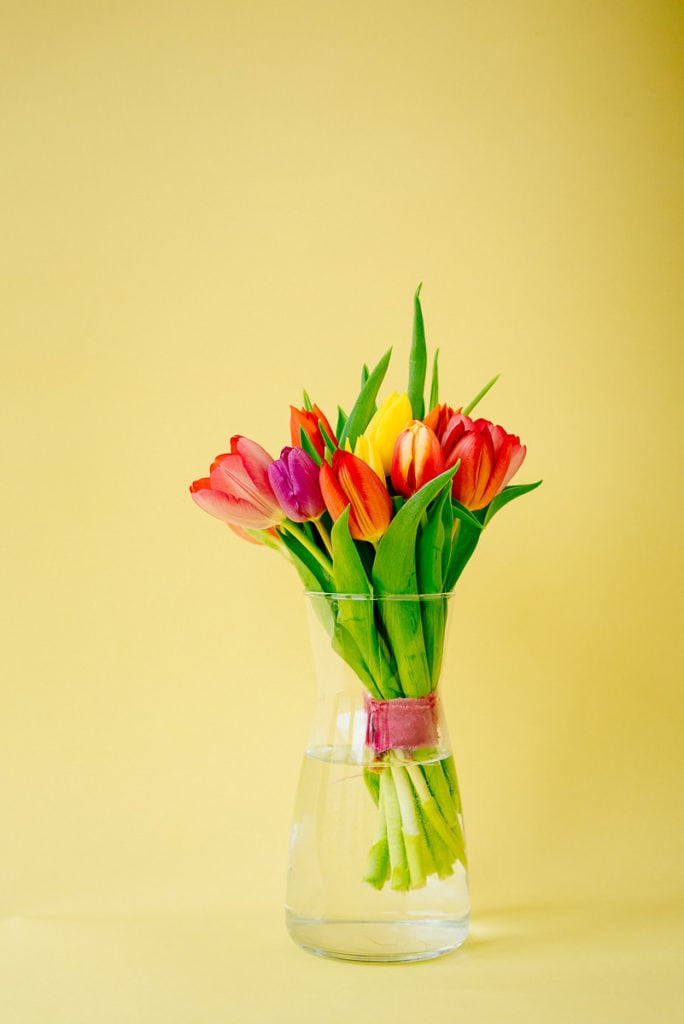Einfache frühe Tulpen in der Vase